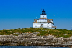 Egg Rock Light Atop Rocky Hill in Protected Bird Sanctuary